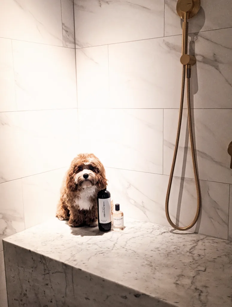 pet friendly ballarat 4