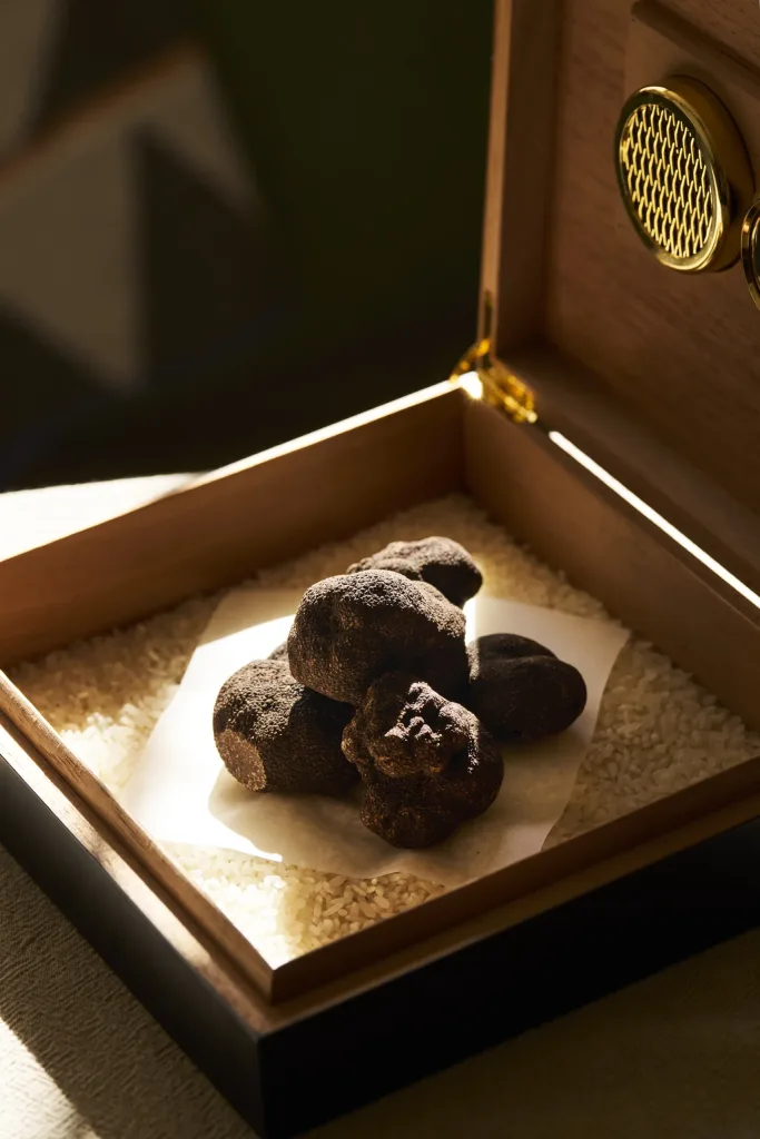 Babae BlackCatTruffles